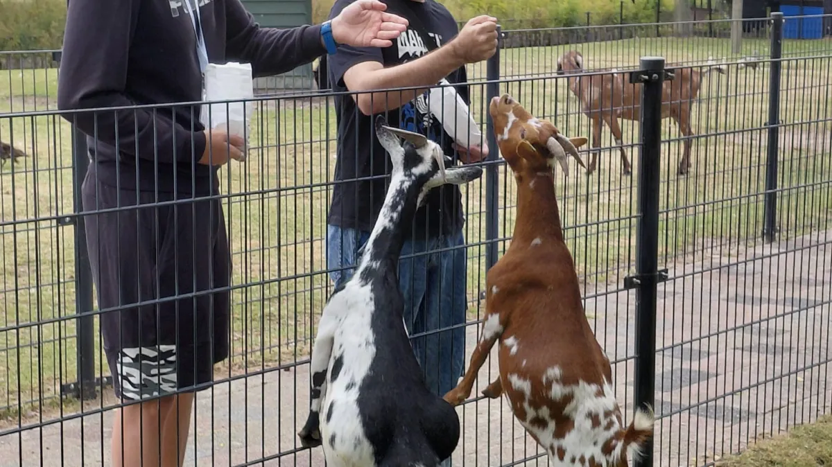 Preintro zoo