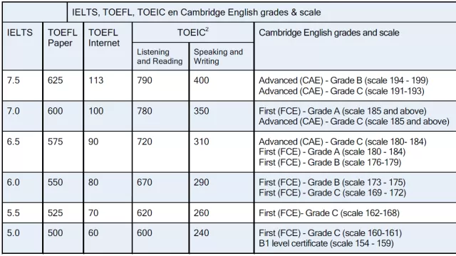 Languages requirements grades and scale