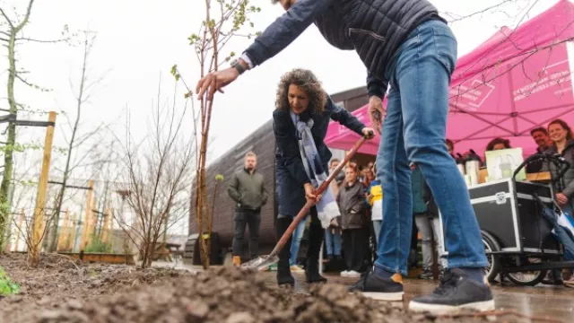 Wethouder Nathalie Kramers en DGA Snoek Puur Groen Douwe Snoek openen De Grienscape met het planten van de laatste boom.