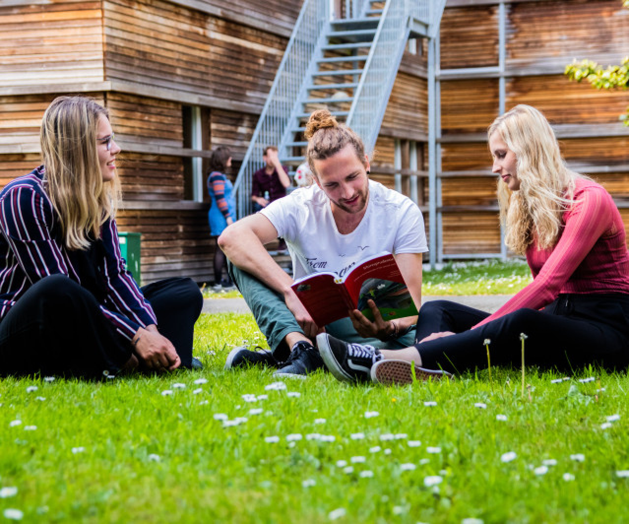Master Social Work