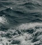 Water, Sustainable use of Oceans and Seas
