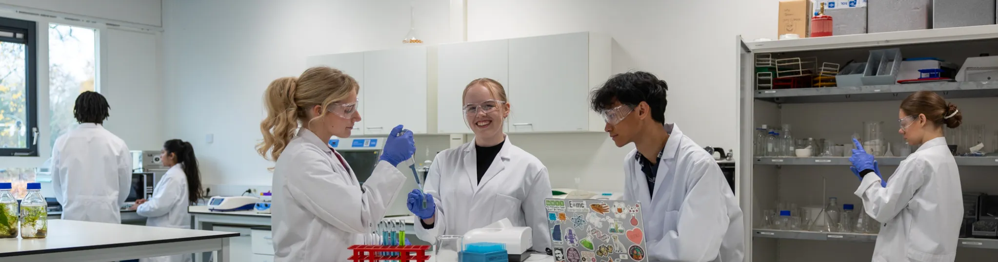 Green Chemistry Emmen