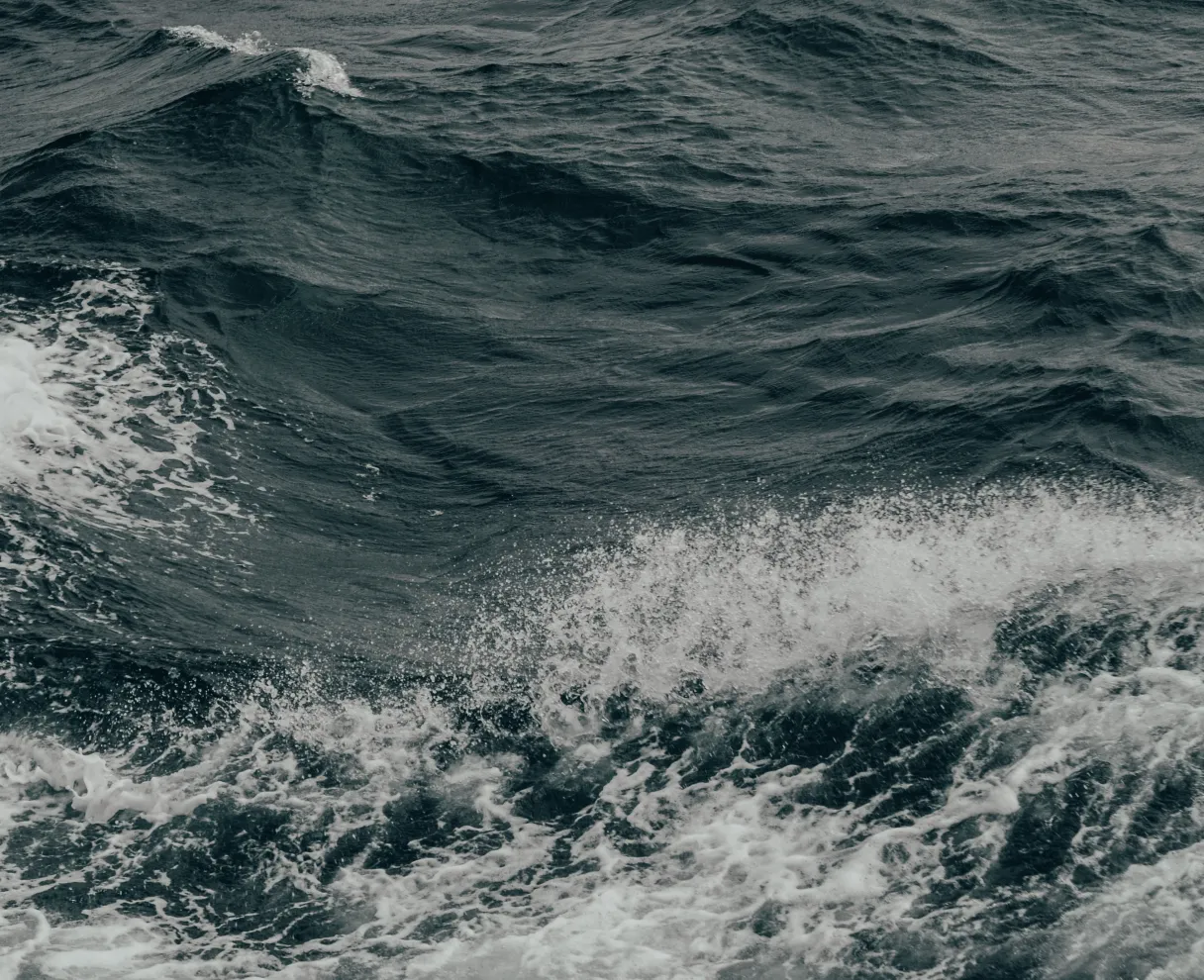Water, Sustainable use of Oceans and Seas