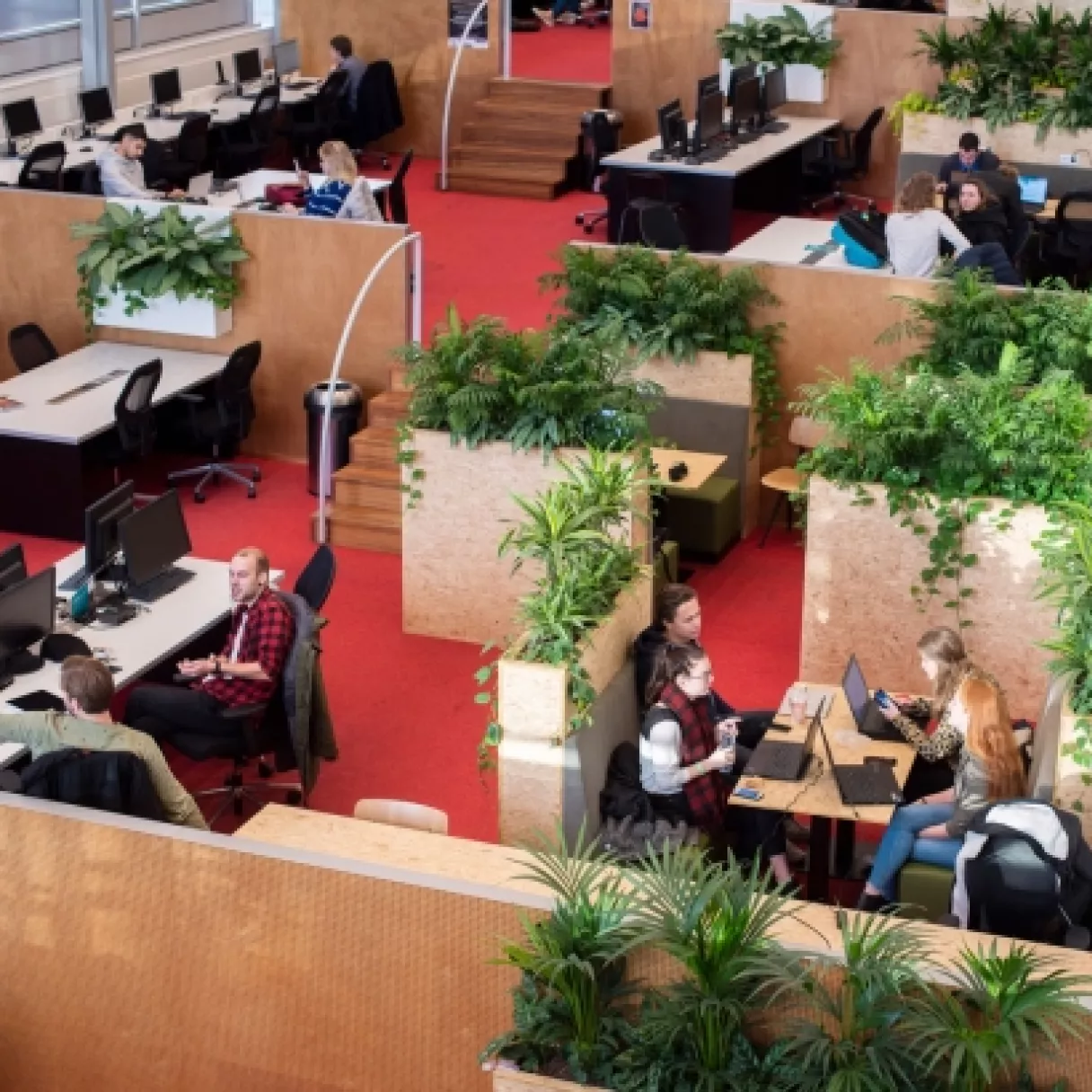studie-landschap-studenten.jpg