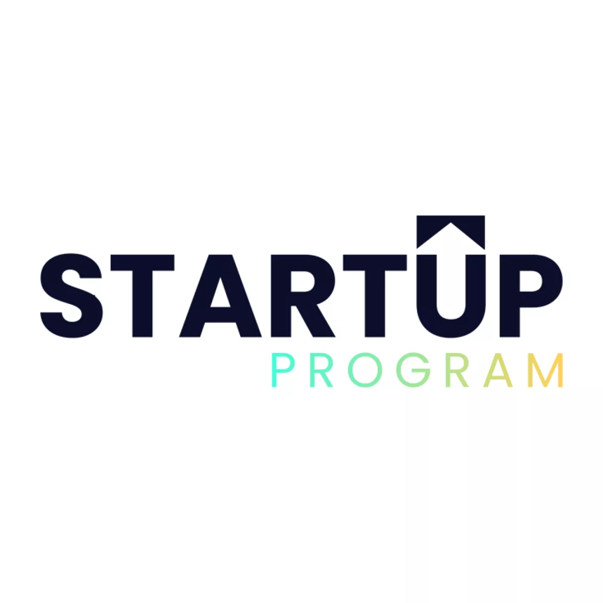 Startup Program