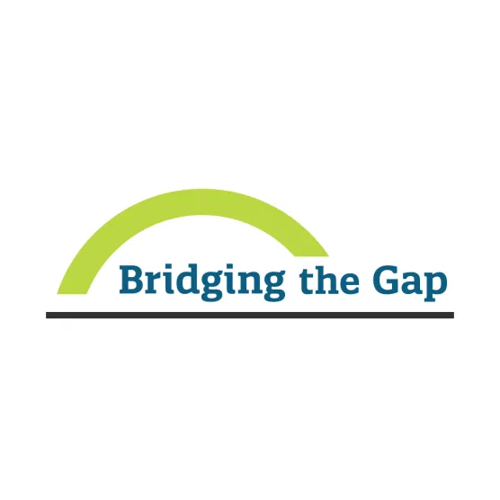 bridging-the-gap