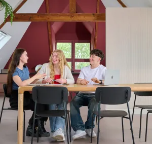 Hoofdbeeld Marketing Management