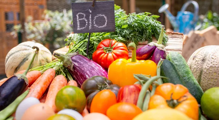 Header project Veggielab
