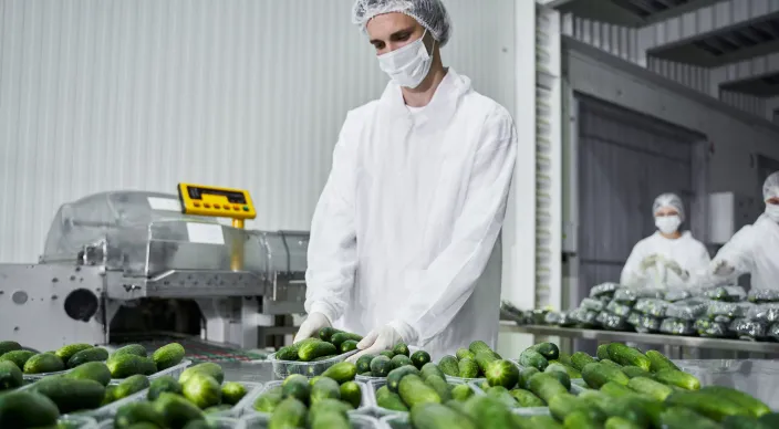 Chemische recycling van PET-trays 